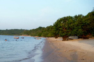 pajucara