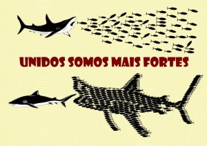 peixes-1024x721-300x211